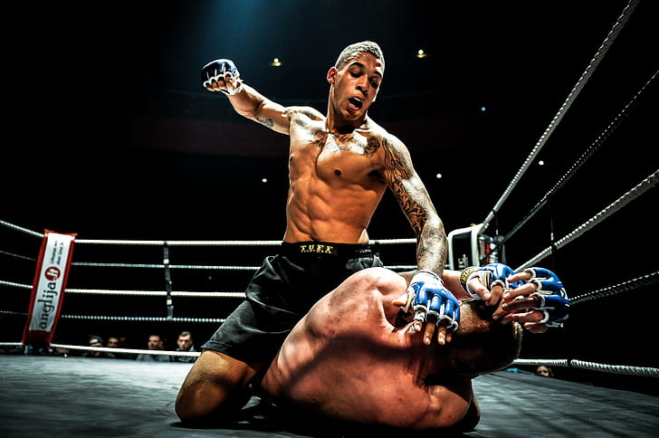 Октагон, сабмишен и другое: этот материал сделает вас знатоком MMA