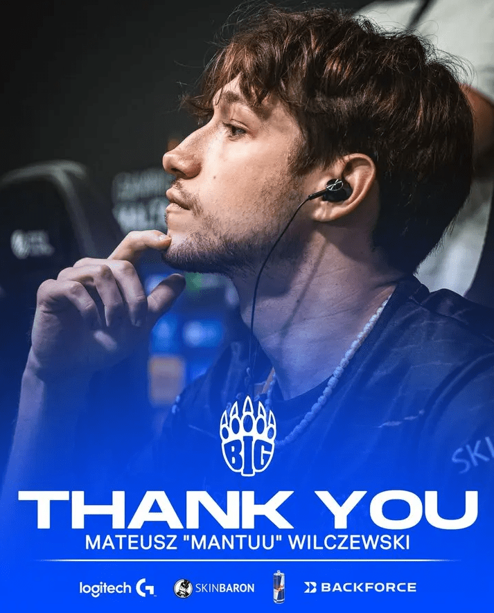 Mantuu Leaves BIG — изображение 2