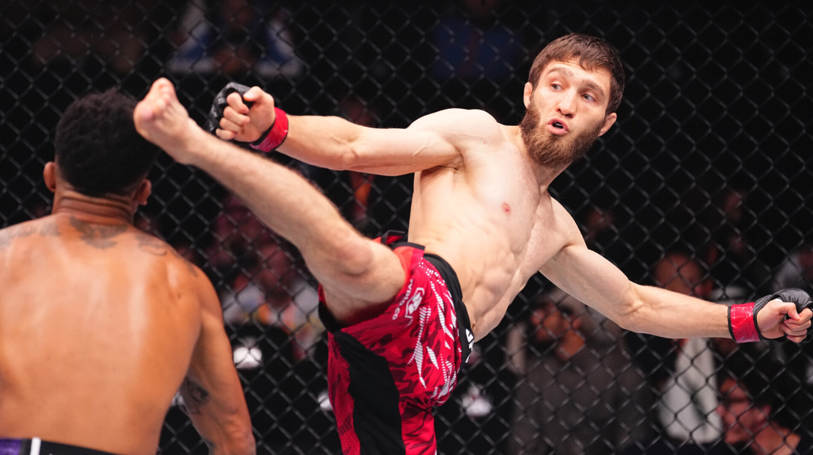 Amerikanskie borcy dominiruyut v UFC i kak im protivostoyat dagestancy