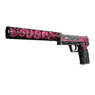 USP-S | Cortex (Well-Worn)