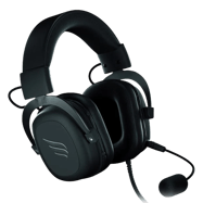 Fallen Morcego Preto