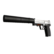StatTrak™ USP-S | Stainless (Minimal Wear)