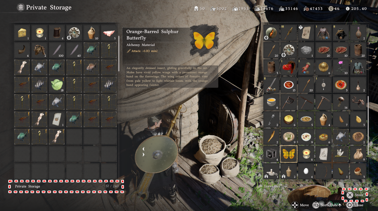 Сундук для коллекционных предметов в Crimson Desert: где взять и как использовать? — изображение 3