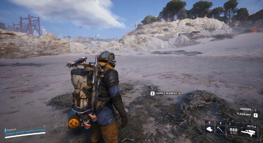 Место отбора проб пляжных водорослей