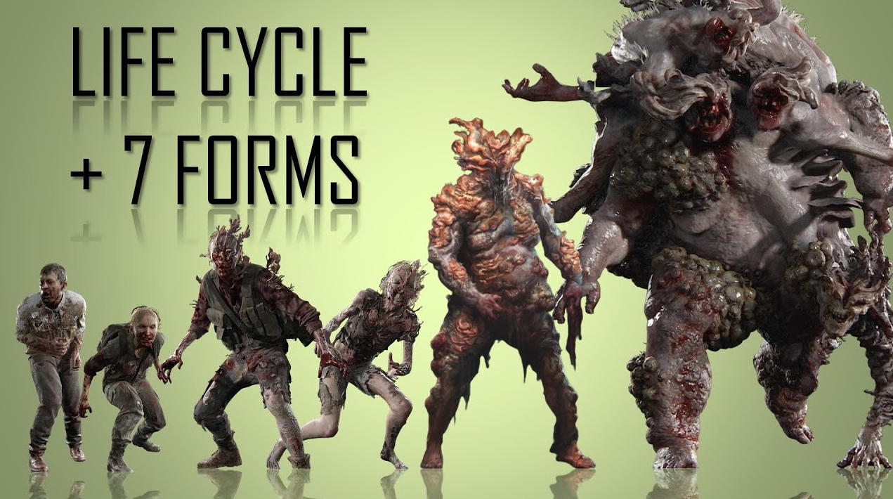 The Last of Us 3: что известно о группе иммунных и как мутирует Кордицепс во вселенной игры — изображение 3