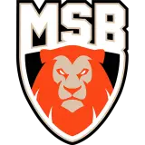 Le Mans Sarthe Basket